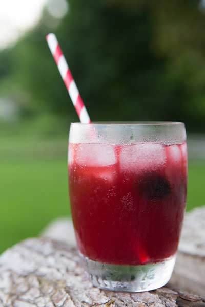 Blackberry Punch
